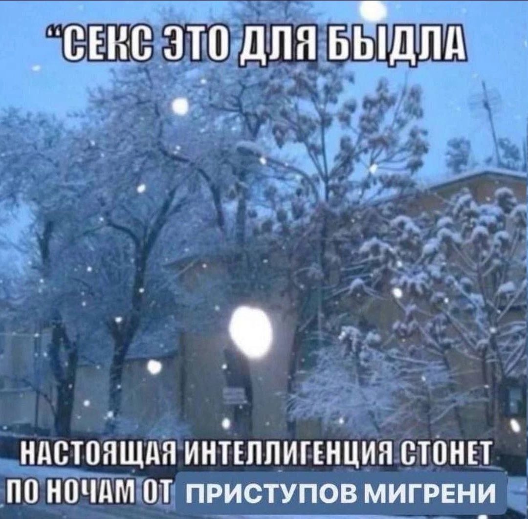 Dr_Alice_Woods's tweet photo. Увидела этот мем, подумала о грядущей весне и заплакала https://t.co/XKSySMltBx