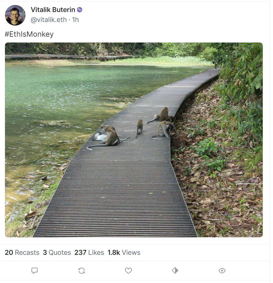 Tehsoulja05's tweet photo. @prudensfx #memes will move too, money coming in all over

#ETHISMONKEY @ethismonkey https://t.co/988gAv6RB9