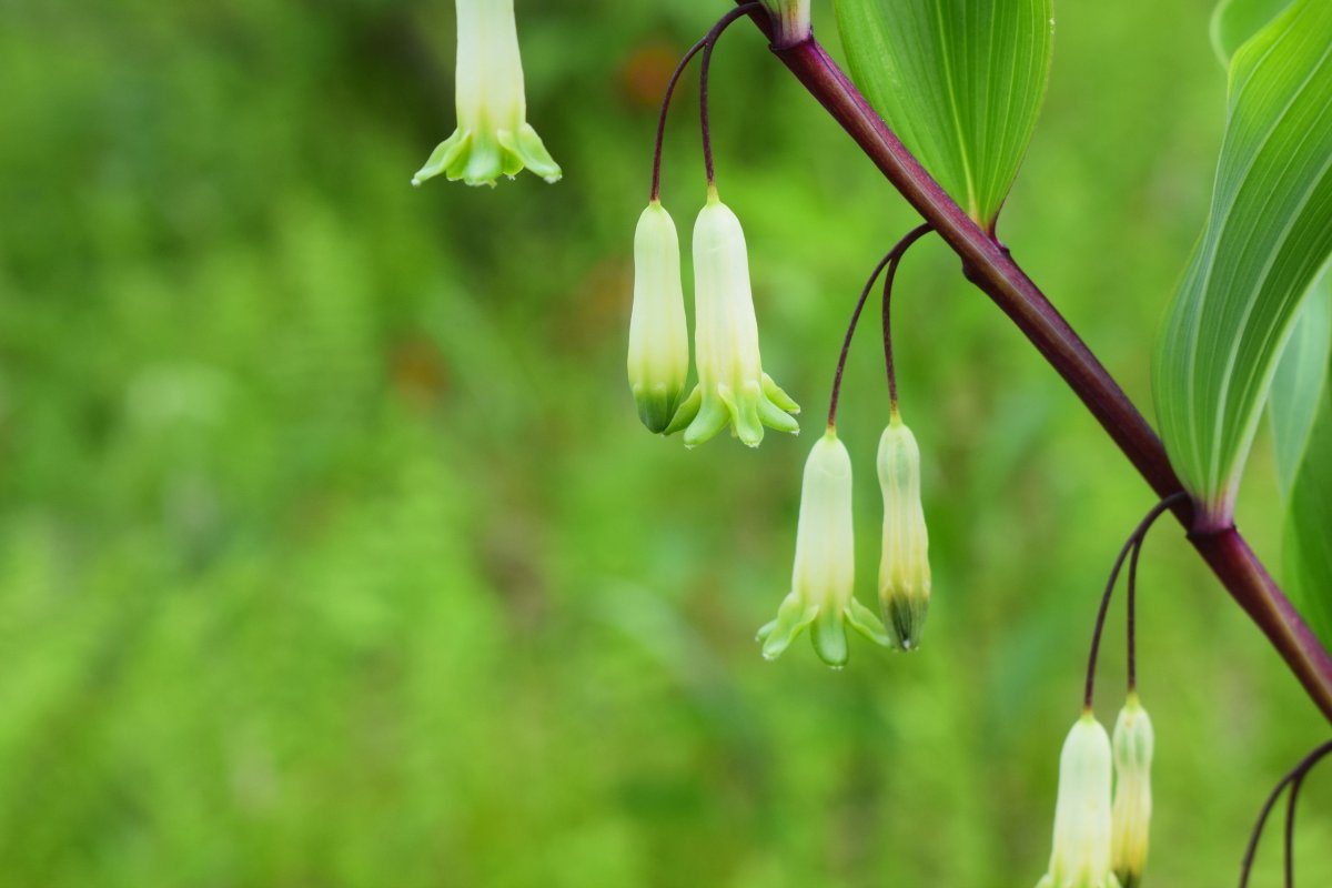 EVERGREEN tweet media