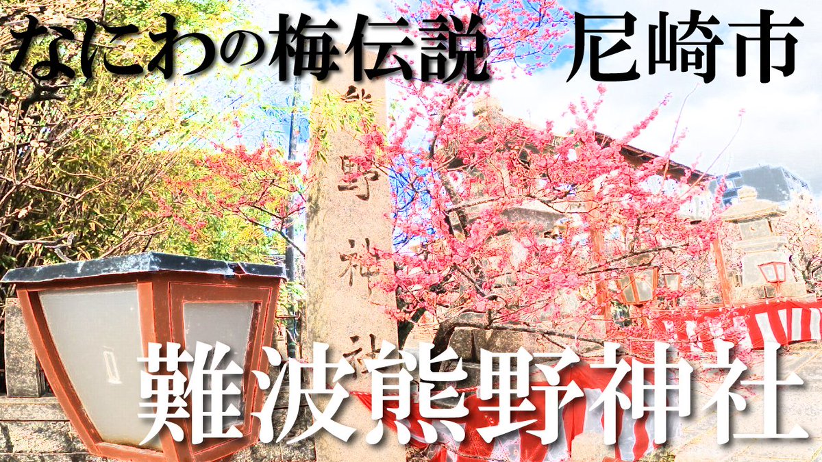 kochiarinohito's tweet photo. 「【ブラこちあり！】なにわの梅伝説　#尼崎 市　難波熊野神社　梅まつり　/難波稲荷大社」
https://t.co/BQymlqn9VR
と題してYouTubeを投稿

#なにわの梅伝説
#難波熊野神社
#熊野神社
#梅
#梅の木公園
#難波稲荷大社
#稲荷大社
#尼崎市
#がんのいなり
#なにわの梅
#神社
#ブラタモリ
#仁徳天皇 https://t.co/8qeFV8ucdH