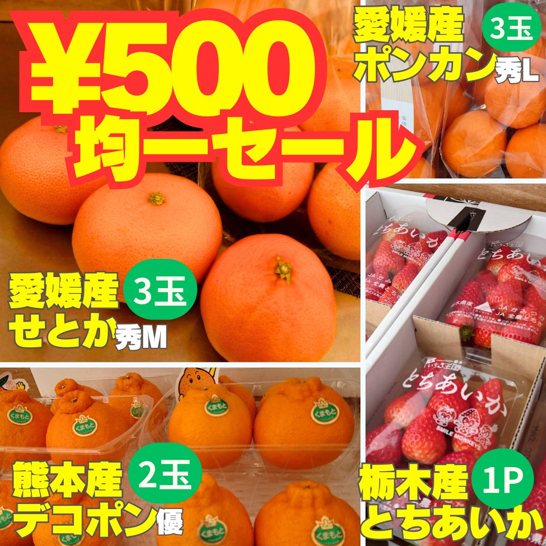 📣《500円均一セール》🌟閉店前最後の感謝セール🌟本日から2/29まで❗️
【1】愛媛産 #せとか 秀M3玉
【2】熊本産 #デコポン 優2玉
【3】愛媛産 #ポンカン 秀L3玉
【4】栃木産 #とちあいか 1PK 
すべて税込！500円均一！
どれも高品質で人気の柑橘ばかり！
#大井町 
#築地果汁創作所