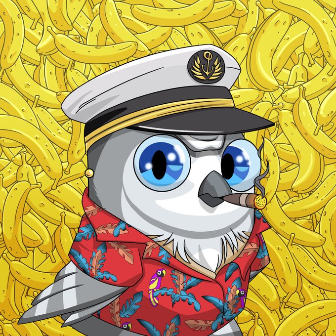 0x5ean.eth tweet media