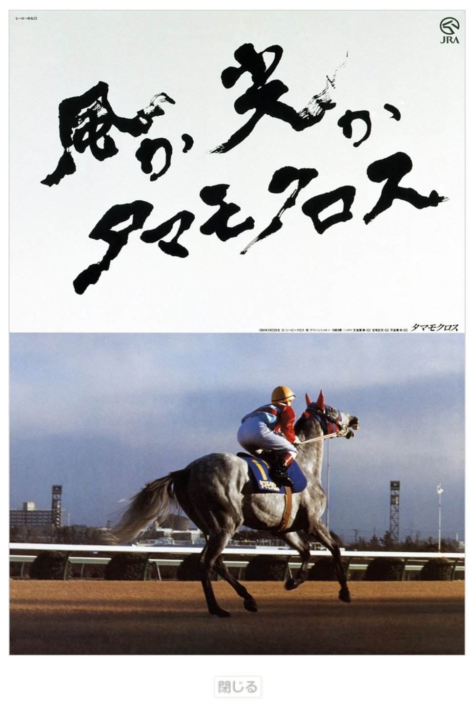 名馬列伝~ミスターシービー―名馬列伝 JRA 競馬 ヒーロー列伝 ミスターシービー - 競馬マニアック博物館