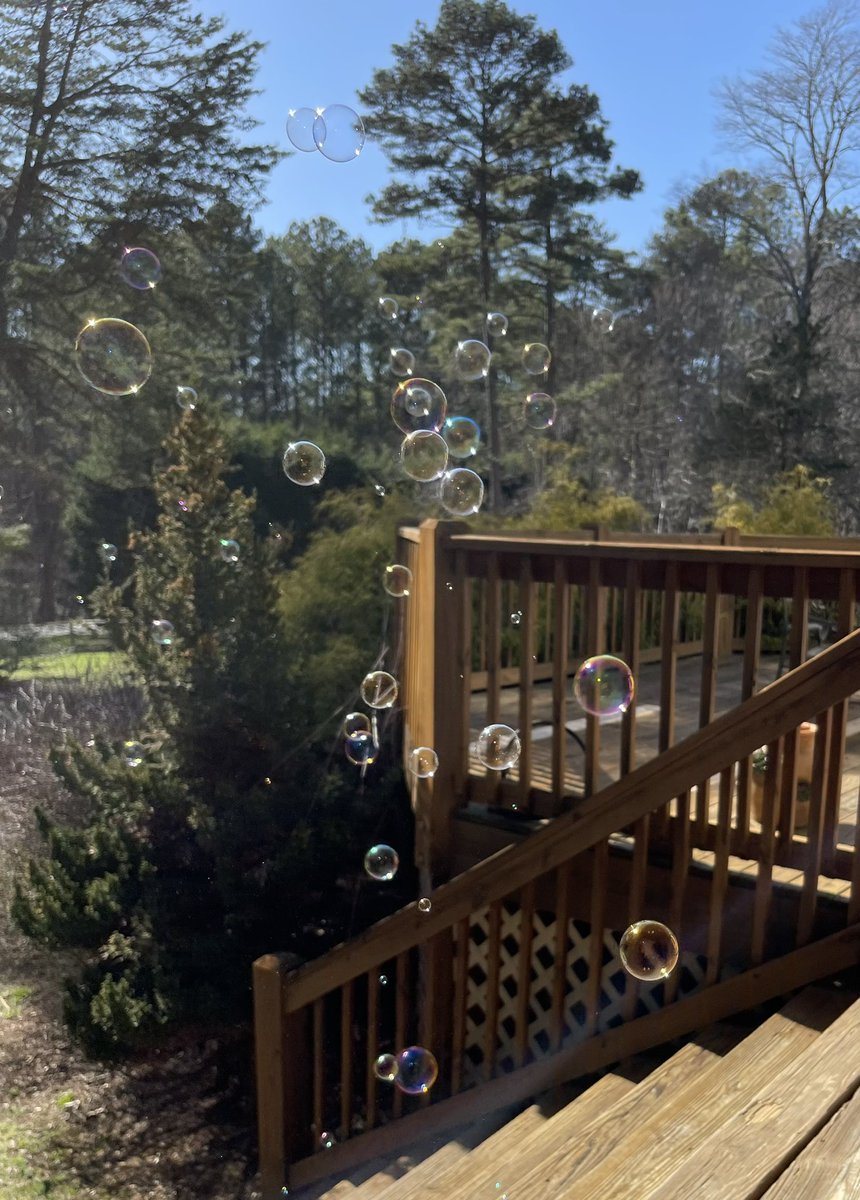 MsMel72's tweet image. Perfect day with BFF… 💕😊🐾
#adogslove #betterwithbubbles #mygrace