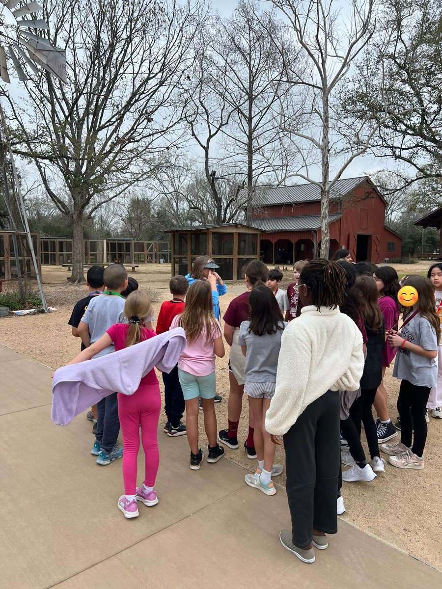 Ashlee McCarthy tweet media