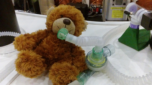 Aggroed001's tweet photo. Any checked in on the bears after the last two days? https://t.co/mpnz4wwzRL