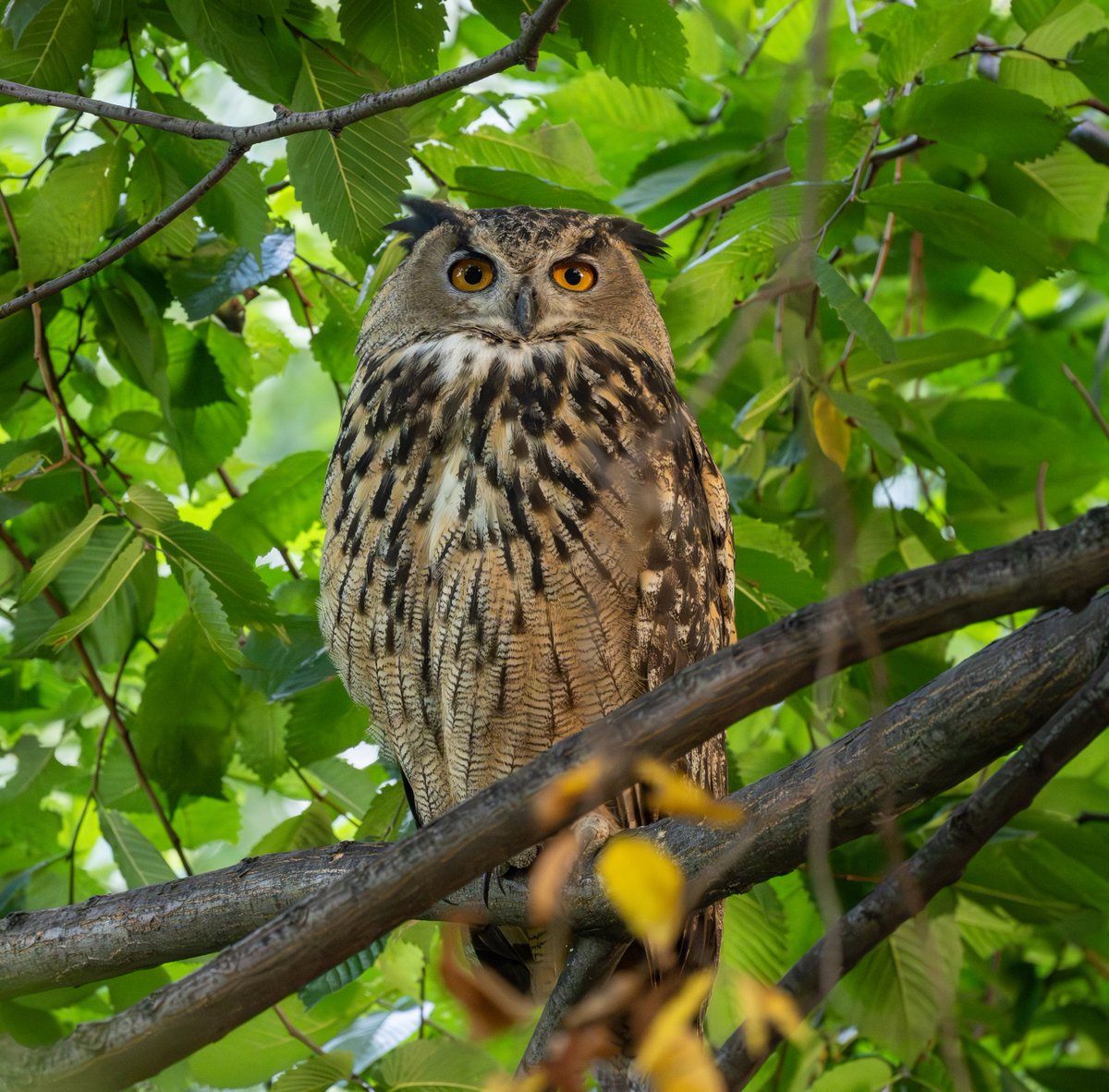 Tracy Pennoyer tweet media