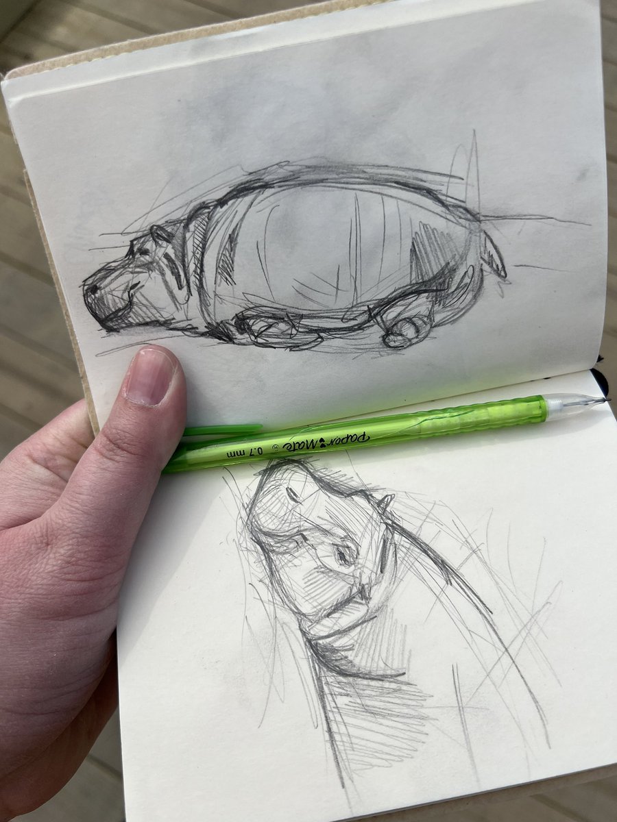 My husband has been out of town for a while and I’ve been rotting, but the weather was super nice today so I went to the zoo and pulled off a few sketches. Felt good.