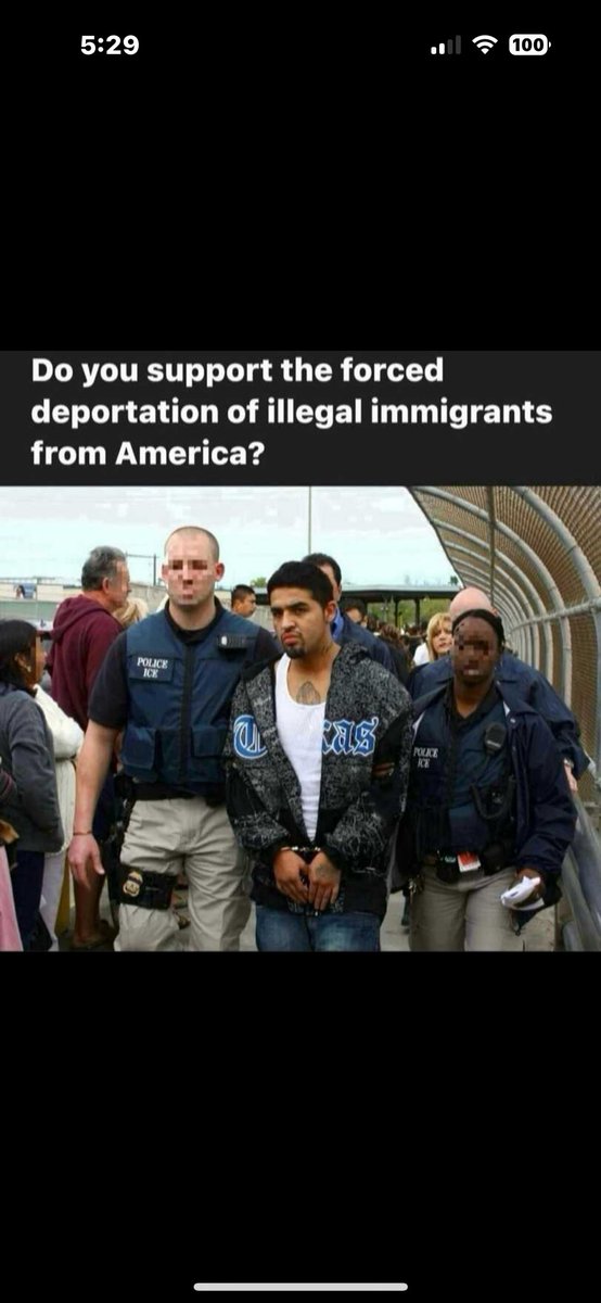 Primrose tweet media