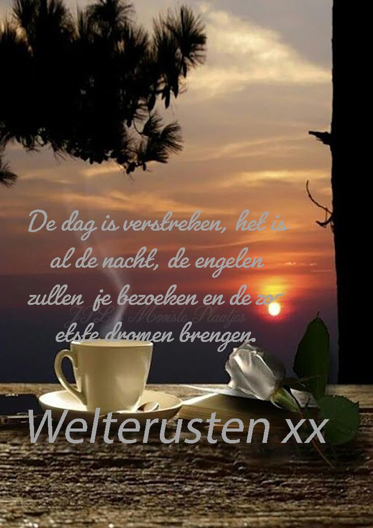 bog53's tweet photo. @crazybusman @Katje1111 Danku pietje geniet nog van jou avond met veel liefde geluk en gezelligheid en voor straks een hele goede nachtrust 👍👍👍🙏🙏🙏 https://t.co/C1Svs3HETV