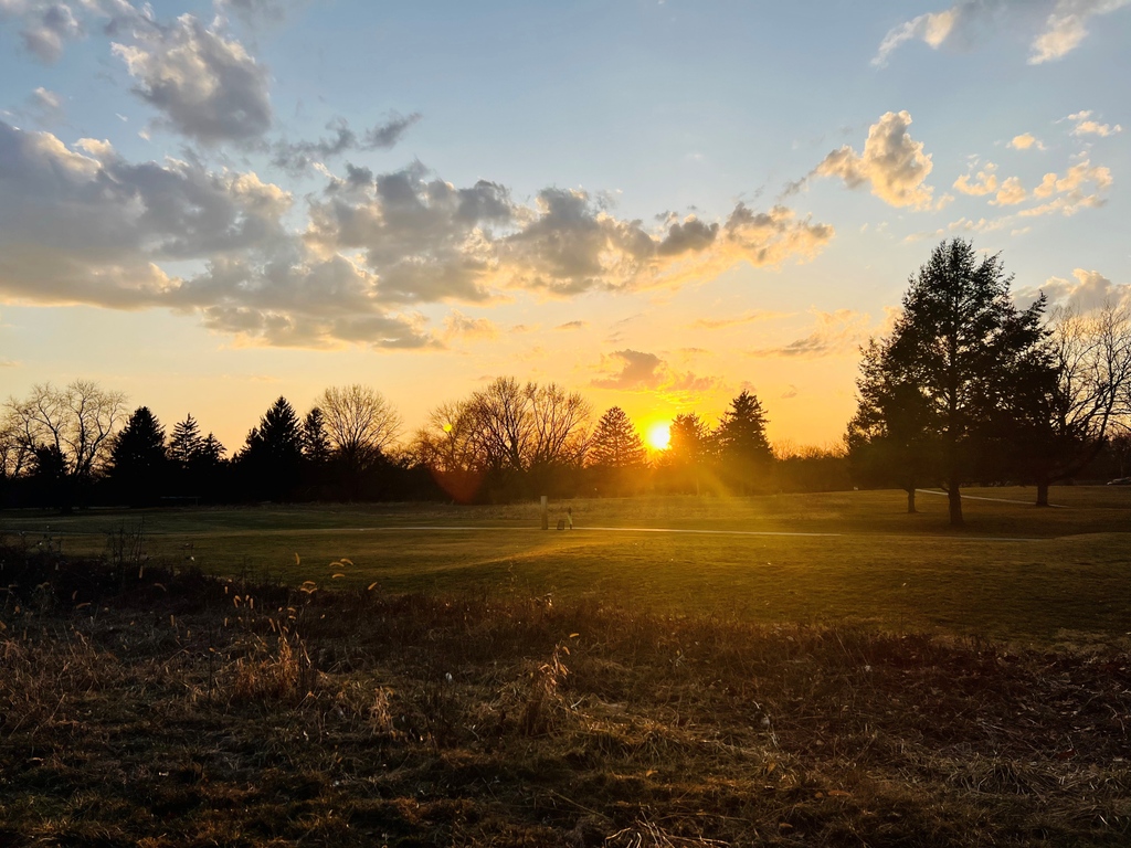 Indy Parks🌲 tweet media