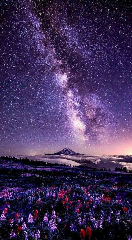 violettweets_'s tweet photo. heaven on earth. https://t.co/K8PYMUde2Y