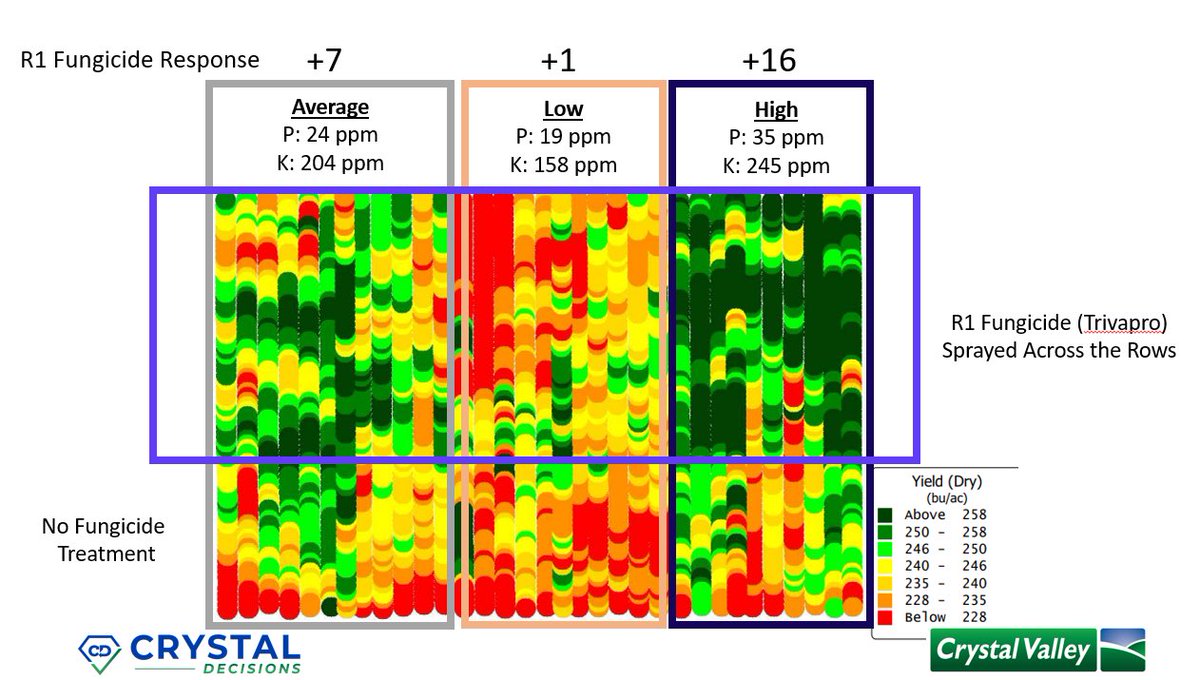 Jason Leary tweet media