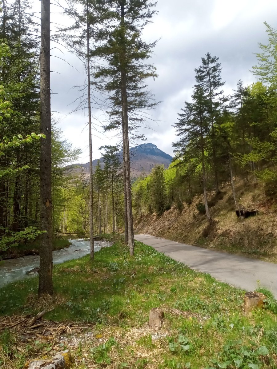 Hetzautal 
#Straneggbach #Totesgebirge #Almtal #Traunviertel #Grünau #Wandertag #Wanderweg #Naturlandschaft #Naturelandscape #Wanderfoto #Landschaftsfoto #Handyfoto #Gigaset #Austriaalps #Mountainlandscape