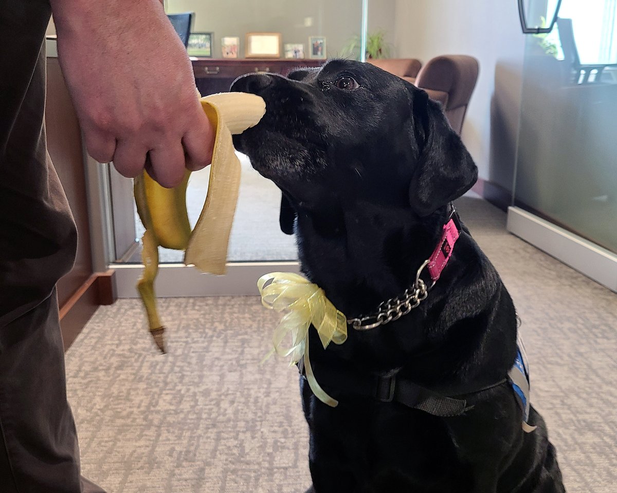 Mercy South tweet media