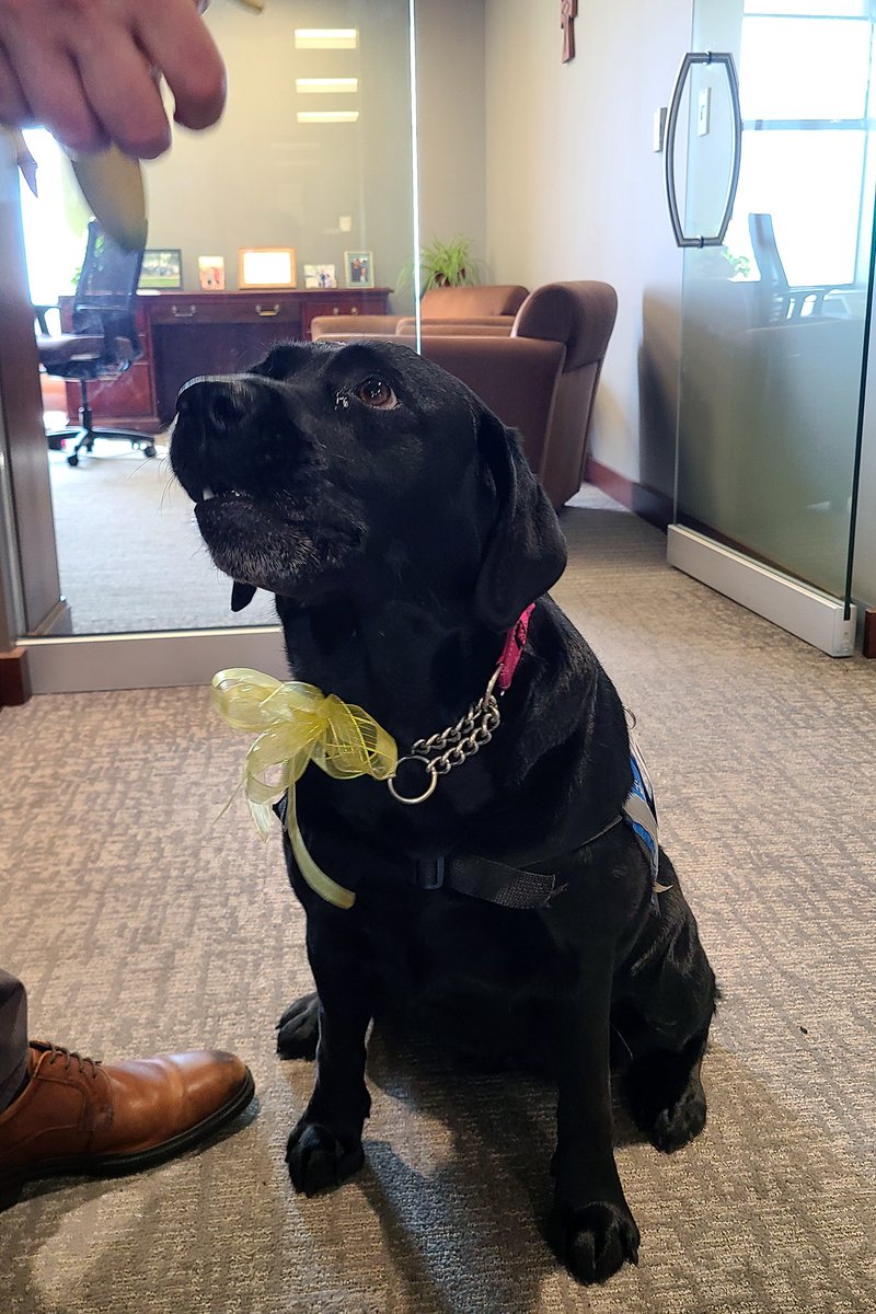 Mercy South tweet media