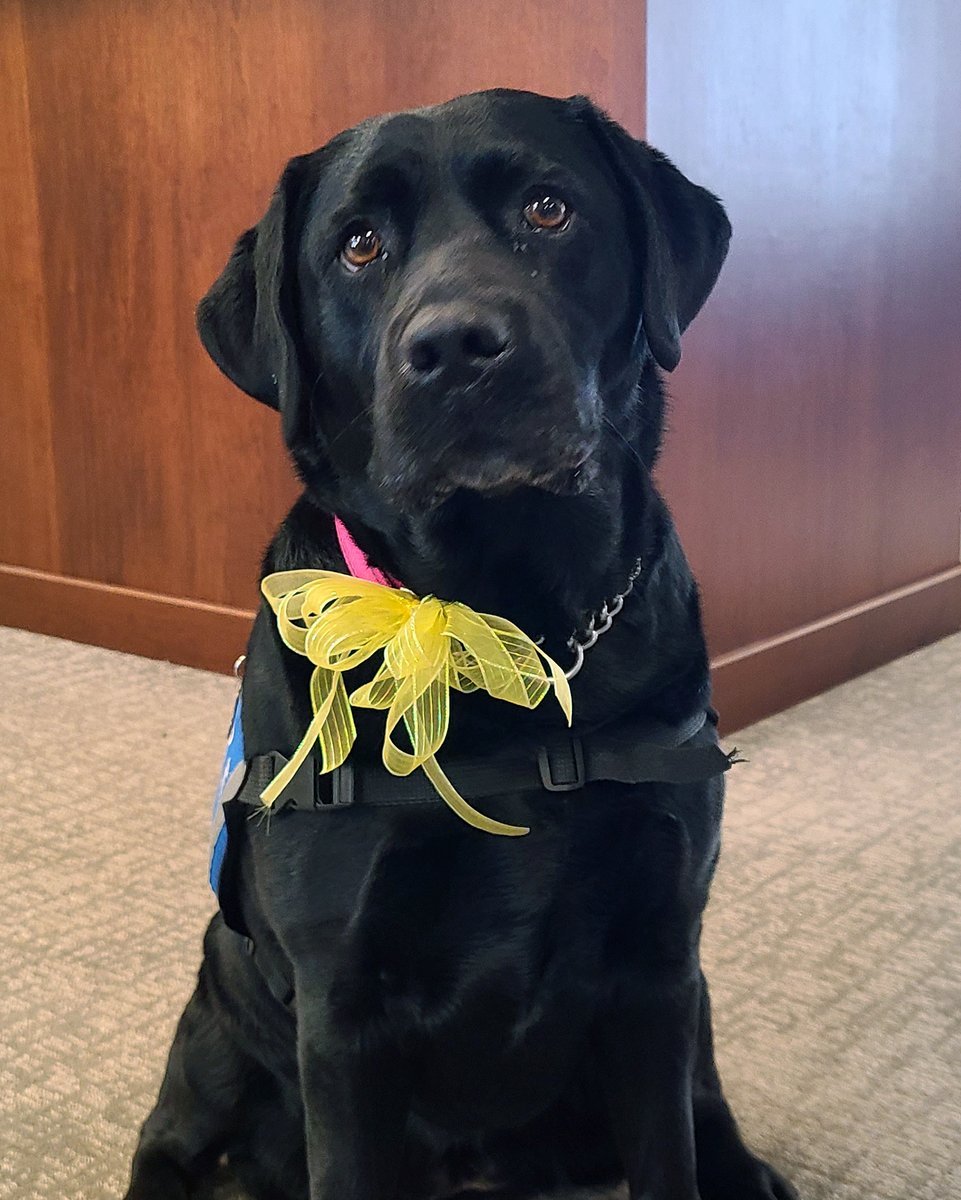 Mercy South tweet media