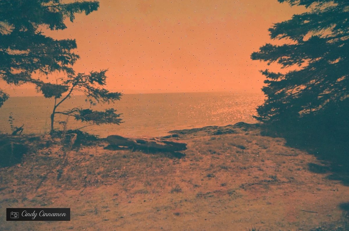 Cindy_Cinnamon's tweet photo. Cindy Cinnamon Photographie
https://t.co/g7SV9JrYvu
Rollei 35
Rare China Seagull Color - Expiré en 1990
#Art #SlowIso #RareFilm #SuperSlowFilm #Rollei35 #35mm #ColorFilm #VisualArt #SeagullFilm #SeagullColor #ColorFilmExpired #ExpiredFilm #Beach #Plage #IsleAuxCoudres #Canada https://t.co/ja2VbL6yYI