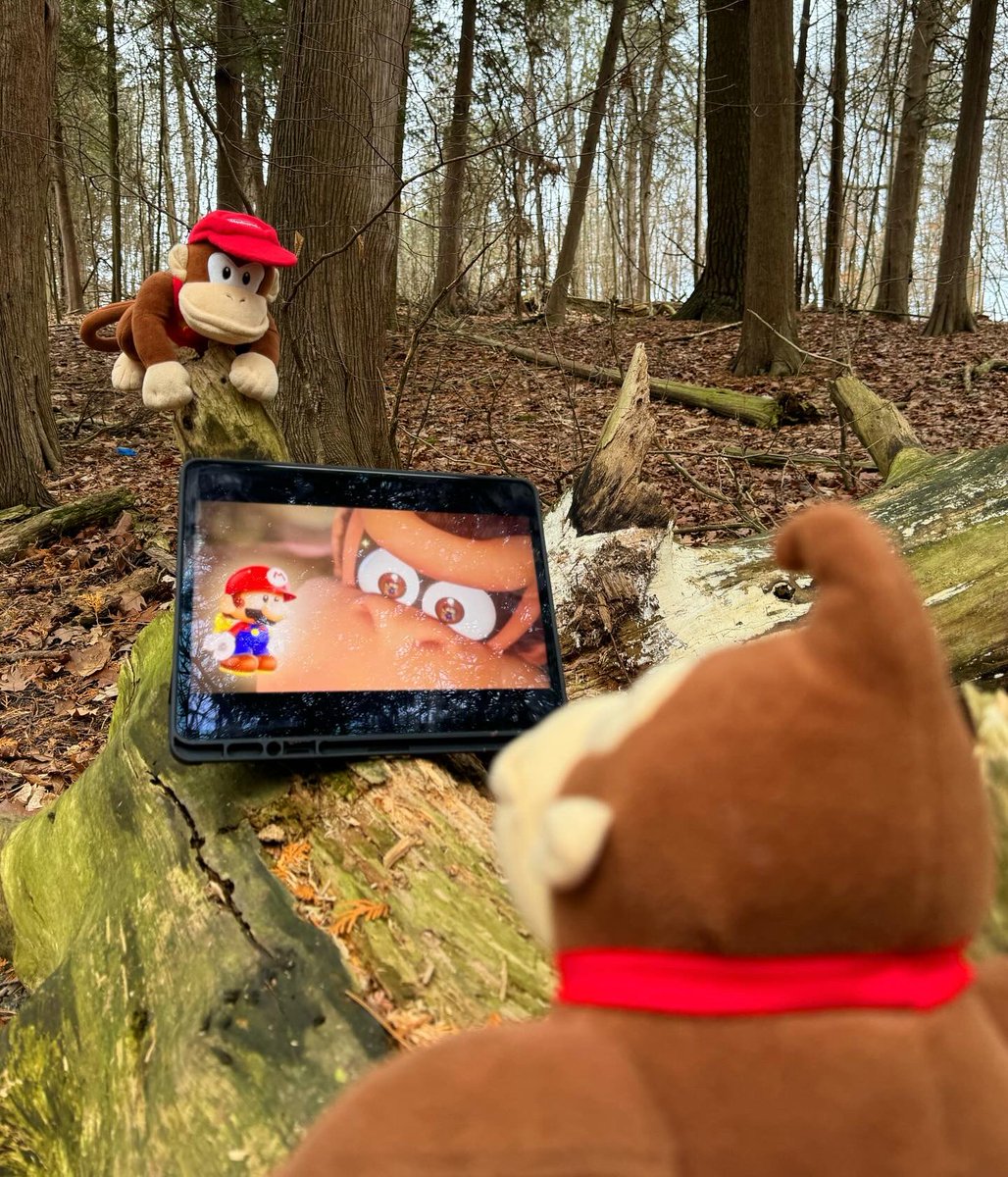 SuperMarioRich's tweet photo. Just Some Monkey Business 🐵 #DonkeyKong #Mario #SuperMario #SuperMarioBros https://t.co/1fg0mf3yc4