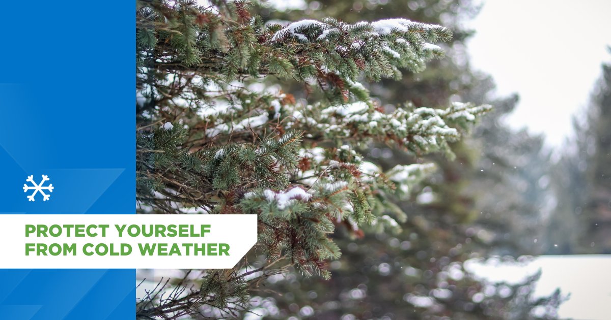 CityofVancouver's tweet photo. It’s cold outside, Vancouver. Protect yourself &amp; others by reducing exposure to cold outdoor weather &amp; keep yourself warm &amp; dry. 

For somewhere warm to go, find your nearest warming centre or public spaces like community centres or public libraries ➡️ https://t.co/upc4psDul8 https://t.co/EHdg9BxVsY