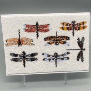 kayceemariexo's tweet photo. Dragonfly 5X7 Beadwoven KIT ONLY
IT’S a KIT!! #beadwoven #art #offloom #peyote #original #handmade #buyhandmade #handmadelove #handcrafted #kraftymax #kmax #kit #homemake #gift you only need #thread, and it is #DISCOUNTED!!!
https://t.co/KIsfKl77q9 https://t.co/NkmwhGozX2