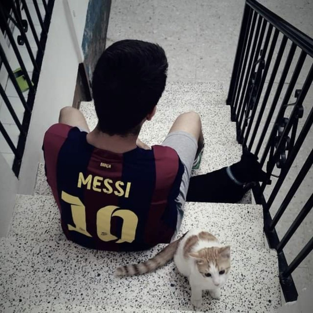 migu_98's tweet photo. Tenia 2 mascotas antes que mis gatos, mascotas que no pasaron de los 4 y 5 años por x cosas. Los echo mucho de menos dia a día. Ya mi gato Covid, Gatolop como lo conoce la gente, ha cumplido 4 años conmigo y tengo ese miedo encima imposible de quitar- https://t.co/1oHmdwpxwS