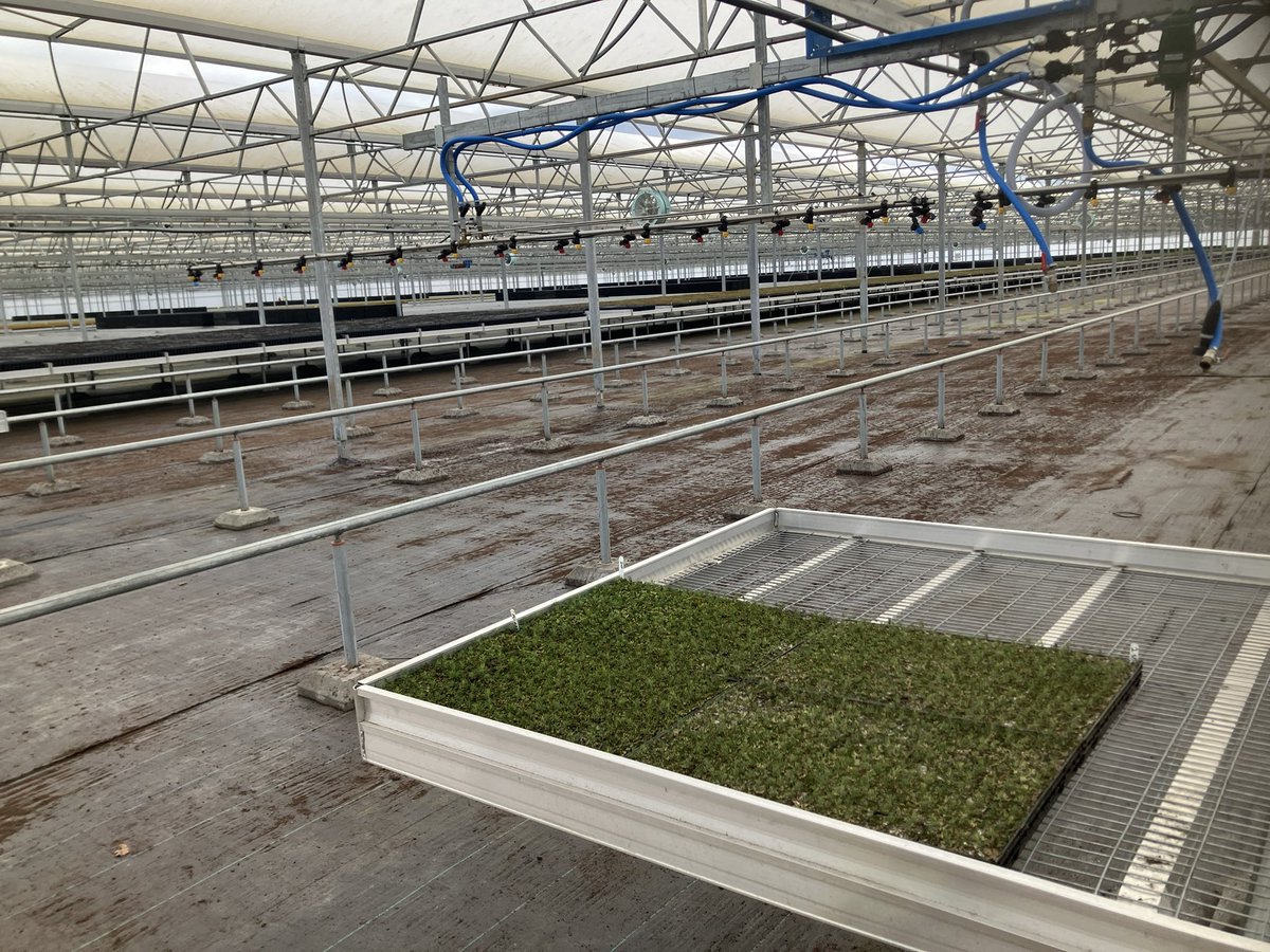 BUForestry's tweet photo. great start to the #MSc #forestry study tour @MaelorForest who generously hosted us today, clearly explaining various aspects of supplying high quality tree seedlings at scale. Challenges aplenty including #climatechange - fascinating to see innovation, technology &amp; passion. https://t.co/nRc6oSAWKy