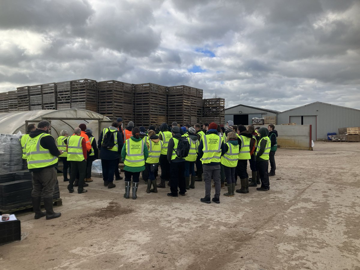 Bangor Uni Forestry (@buforestry) on Twitter photo great start to the #MSc #forestry study tour <a href="/MaelorForest/">Maelor Forest Nurseries</a> who generously hosted us today, clearly explaining various aspects of supplying high quality tree seedlings at scale. Challenges aplenty including #climatechange - fascinating to see innovation, technology & passion. great start to the #MSc #forestry study tour <a href="/MaelorForest/">Maelor Forest Nurseries</a> who generously hosted us today, clearly explaining various aspects of supplying high quality tree seedlings at scale. Challenges aplenty including #climatechange - fascinating to see innovation, technology & passion.