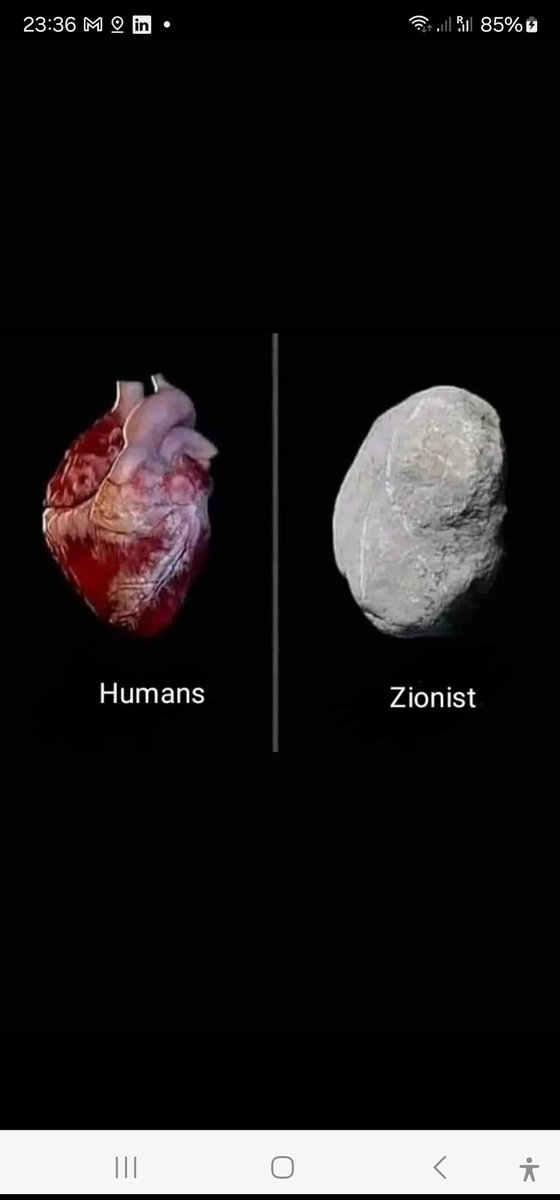 Hafsa adil tweet media