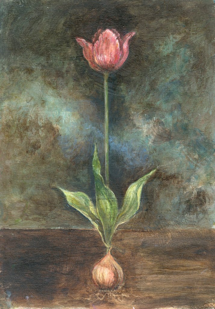 Denise Allan Dutch Tulip