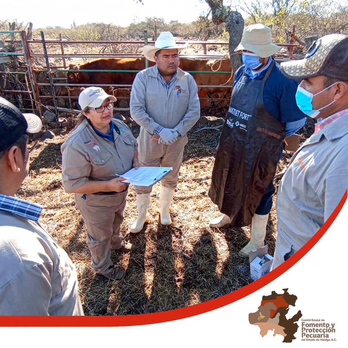 cefpphidalgo's tweet image. Del 19 al 22 de febrero, personal adscrito a este Comité realizaron el Curso para acreditarse  como MVRA en Rumiantes, organizado por el CMVZH, con la finalidad de actualizarse y adquirir los conocimientos para brindar un servicio de calidad a los productores pecuarios de Hidalgo