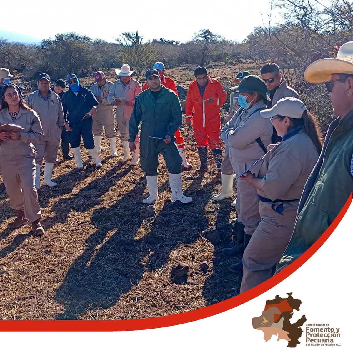 cefpphidalgo's tweet image. Del 19 al 22 de febrero, personal adscrito a este Comité realizaron el Curso para acreditarse  como MVRA en Rumiantes, organizado por el CMVZH, con la finalidad de actualizarse y adquirir los conocimientos para brindar un servicio de calidad a los productores pecuarios de Hidalgo