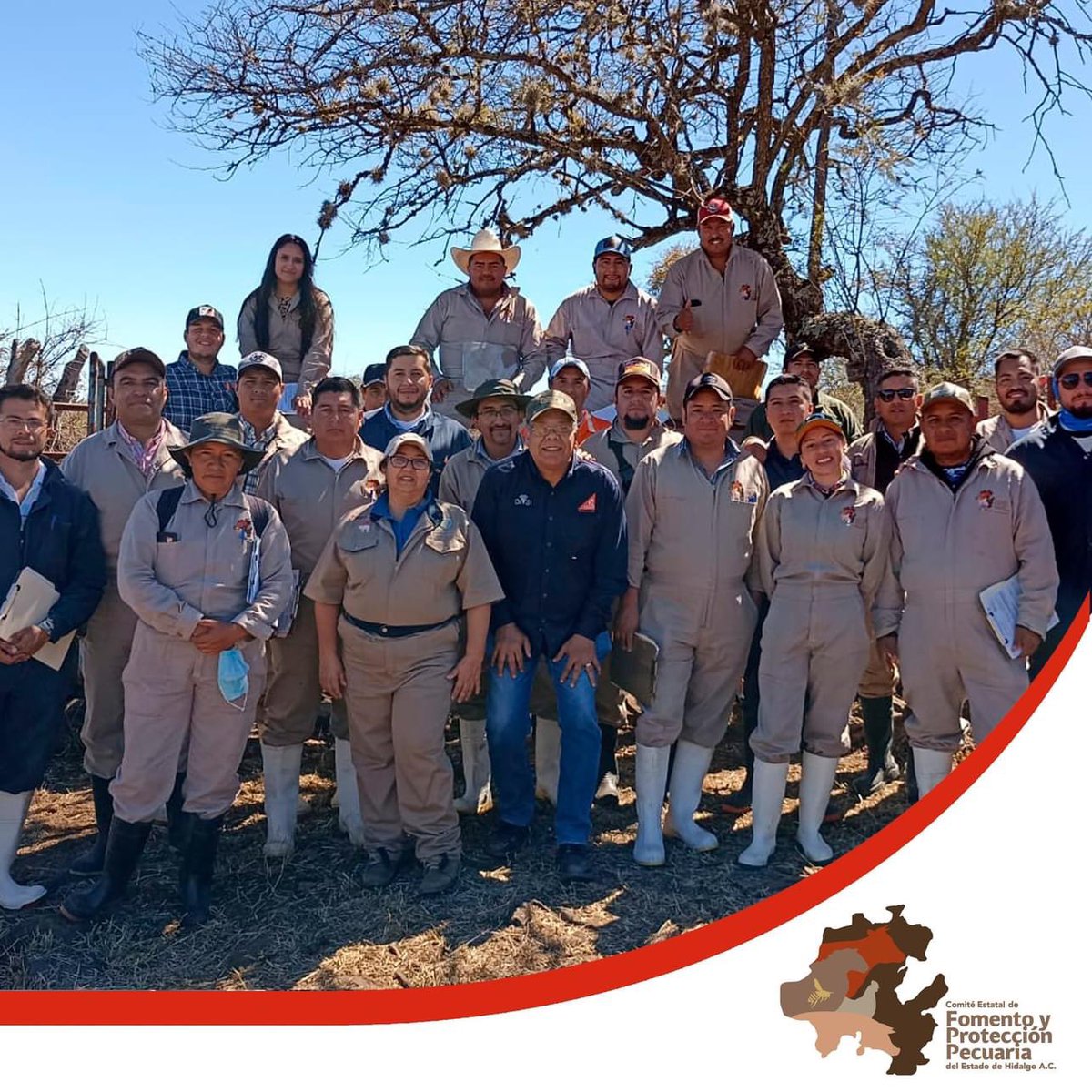 cefpphidalgo's tweet image. Del 19 al 22 de febrero, personal adscrito a este Comité realizaron el Curso para acreditarse  como MVRA en Rumiantes, organizado por el CMVZH, con la finalidad de actualizarse y adquirir los conocimientos para brindar un servicio de calidad a los productores pecuarios de Hidalgo