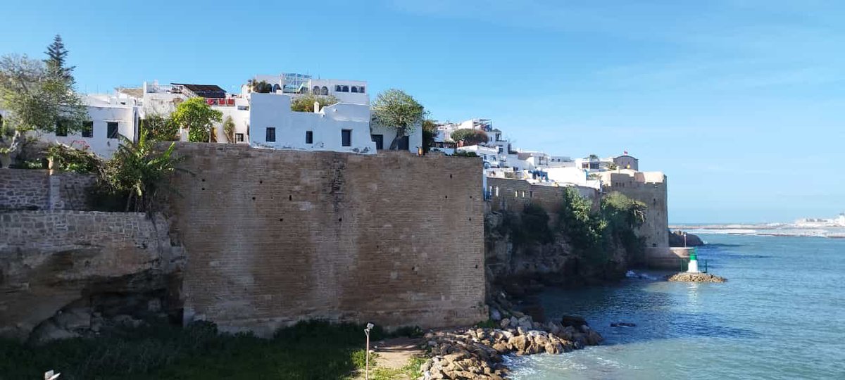 Sukru Esin tweet media