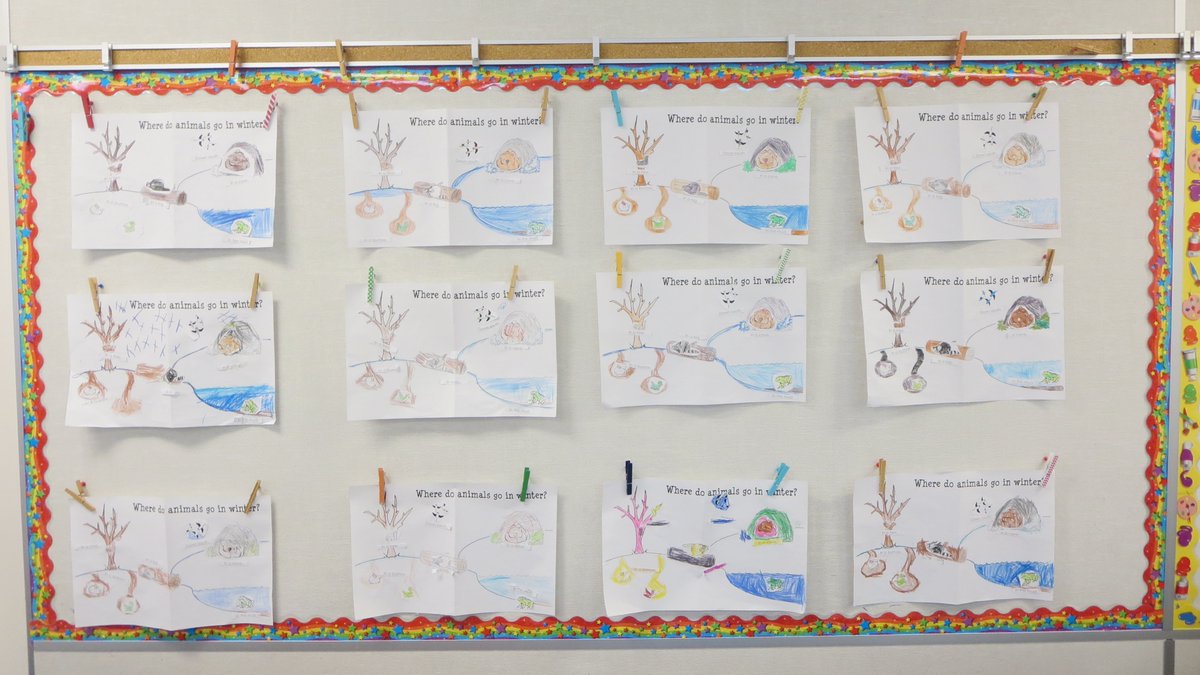 OLOF_CCSD's tweet photo. Grade 1’s are learning about what animals do to survive during the cold #winter months. Given how cold it is today, would you rather #hibernate, 😴 #migrate to somewhere warmer 🏖️, or just #adpat? 🧤🧥#CCSDedu https://t.co/kgPHruYS2B