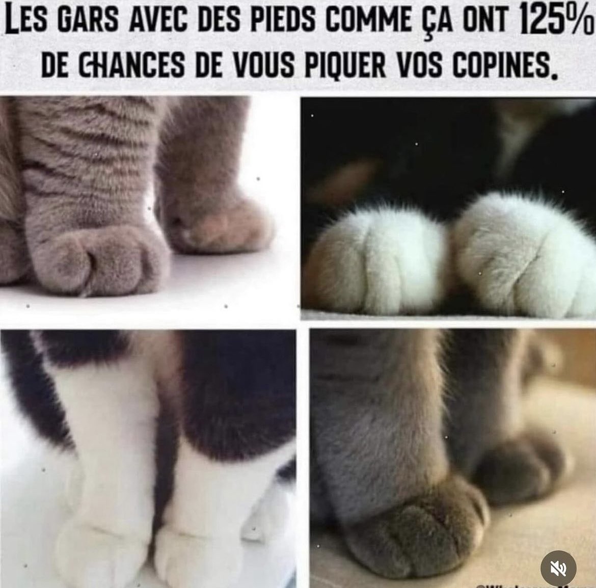 ArmelleV26's tweet image. 😹😹😹