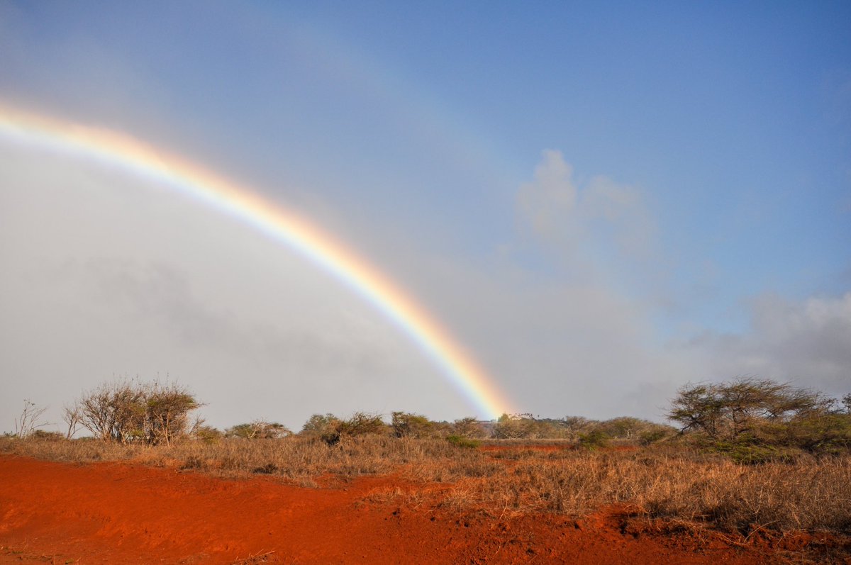 sTravelSpots's tweet photo. Hawaii • Moloka‘i

“To enjoy the rainbow, first enjoy the rain.”
― Paulo Coelho

 #molokai #hawaii #rainbow #nature #outdoor #travel #inselhopping #reisetips https://t.co/uWlkiTyUv8