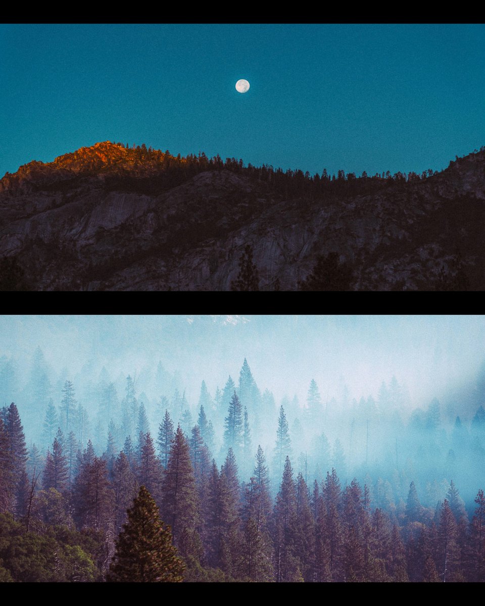 jeffmihaly's tweet photo. In the embrace of nature's tranquility. https://t.co/MuKVm2QeOA