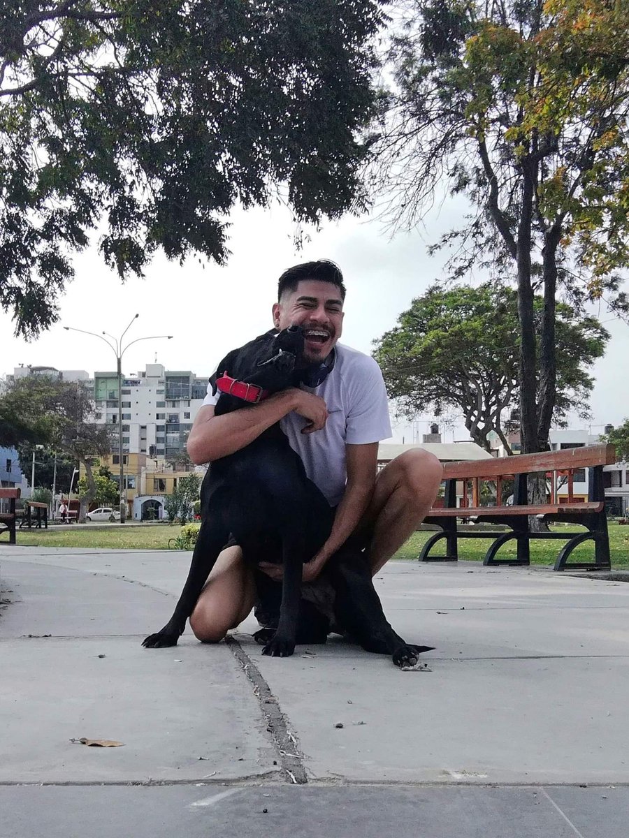 ikerdemoficial's tweet photo. Nicky 🐶🖤

#Mascotas #Perrito #Perrijo #Bebe #Perro #Amor #Animales https://t.co/VzojnJyLC6