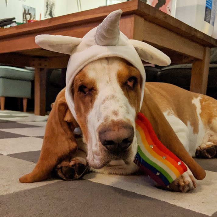 sirtibblesdog's tweet photo. Looks like I’ve got a case of the Mondays…

-Sir Tibbles Waddlesworth https://t.co/lc6vuiXFQy