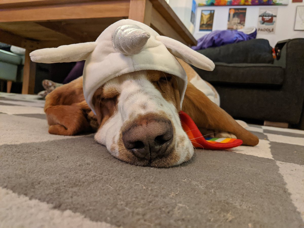 sirtibblesdog's tweet photo. Looks like I’ve got a case of the Mondays…

-Sir Tibbles Waddlesworth https://t.co/lc6vuiXFQy