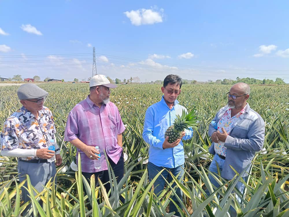 J_Biotech's tweet photo. 26hb Februari 2024, lawatan kerja Ketua Pegawai Eksekutif JBioTech  ke kilang Taaveekun, Kedah; kilang milik bumiputera anak tempatan yang mengeluarkan baja butir dan foliar berasaskan organik.

#JBioTech
#Taaveekun
#bajaorganik https://t.co/ioZW9W2y9o