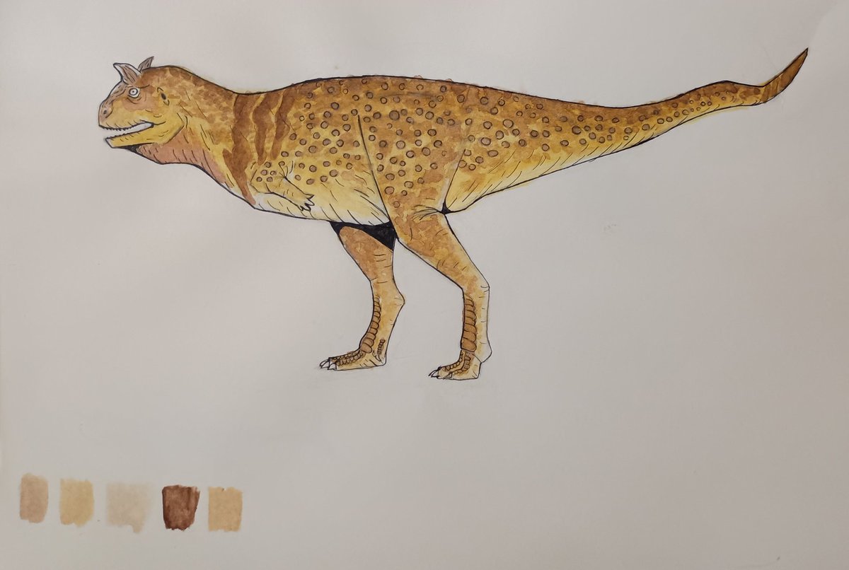 Stygiangorgon's tweet photo. @Tyezierr I always enjoyed it. Was always doing art of comics and dinosaurs. It always calmed me down and felt right. Autism was a big factor of it as well I think. https://t.co/0SjwwL8srH
