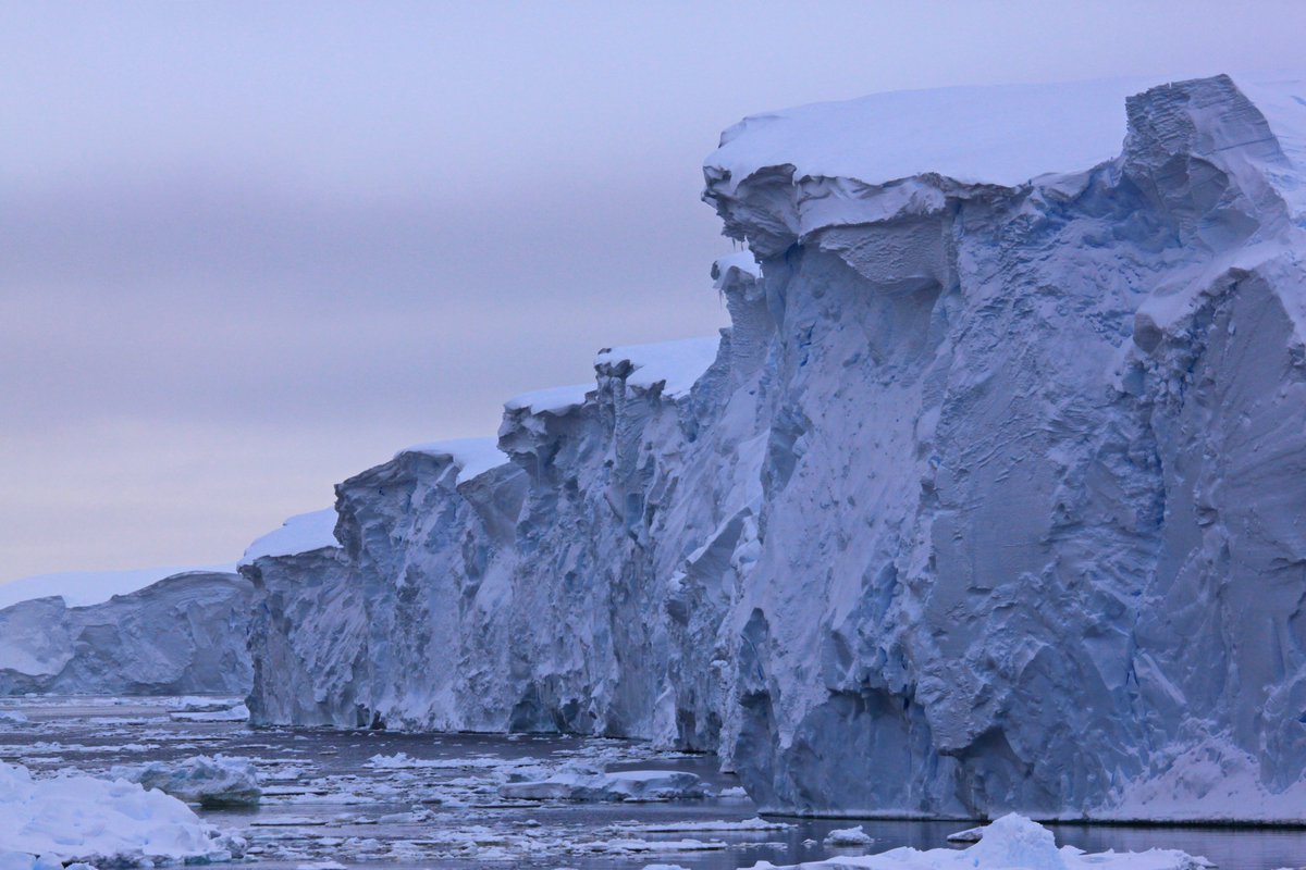 Dr James Kirkham (@jd_kirkham) on Twitter photo What can mud tell you about the melting of #Antarcticas most dangerous glaciers?
Quite a lot it seems!
Our exciting new research shows the retreat of Pine Island & Thwaites glaciers was kicked off by an El Nino in the 1940s, and hasn’t recovered since.
pnas.org/doi/10.1073/pn… What can mud tell you about the melting of #Antarcticas most dangerous glaciers?
Quite a lot it seems!
Our exciting new research shows the retreat of Pine Island & Thwaites glaciers was kicked off by an El Nino in the 1940s, and hasn’t recovered since.
pnas.org/doi/10.1073/pn…