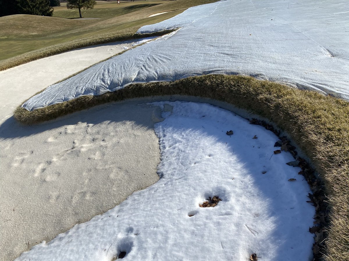 LHCC Grounds tweet media