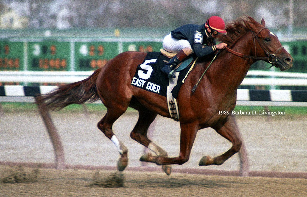 'Never had a 3-year-old run a mile as quickly as Easy Goer was running without encouragement...yesterday at Aqueduct'... Paul Moran, Newsday 4/9/89 EASY GOER's 1989 Gotham was the stuff of dreams. His 1:32 2/5 remains an Aqueduct record and is still among the fastest miles ever.