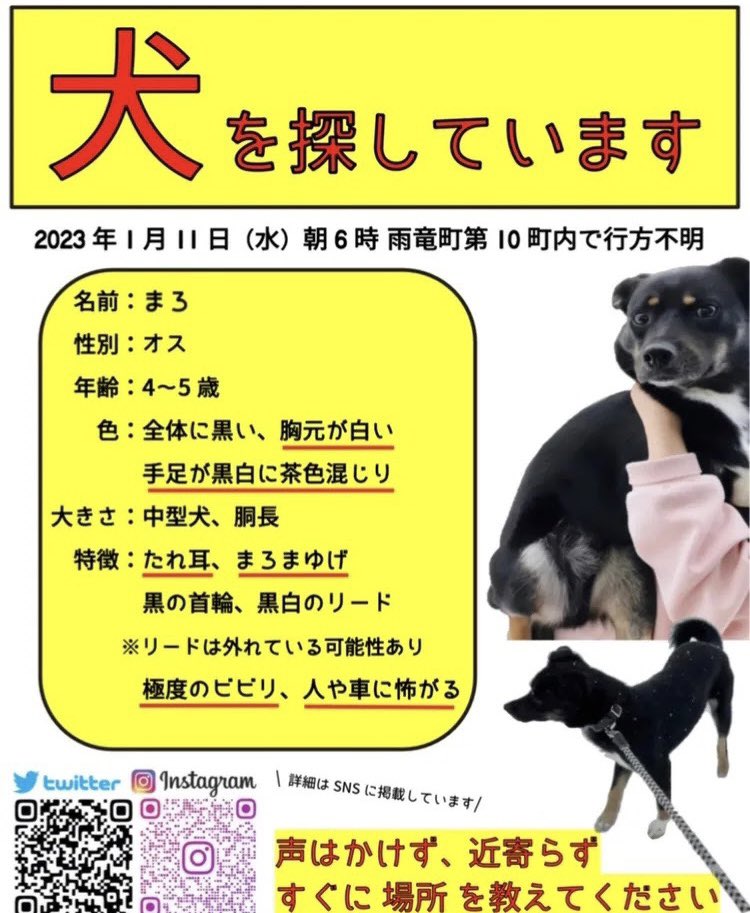 chihironron0910's tweet photo. 情報拡散のお願い🚨

2/26(月) 17時頃 浦臼町ライスセンターの裏道でまろに似た犬の目撃情報を頂きました。

浦臼近郊、農家の方等、些細なことでも
何かありましたら情報提供お願いします。

#迷子犬 #保護犬 #北海道 #雨竜町 #浦臼町
#奈井江町 #新十津川町 #月形町 #当別町 https://t.co/n7j4yOHoAT