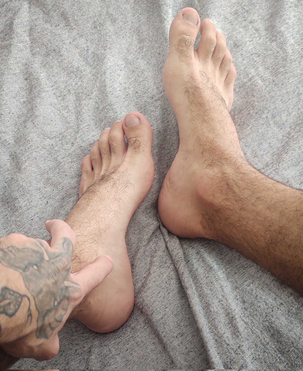 Puto Peludo tweet media