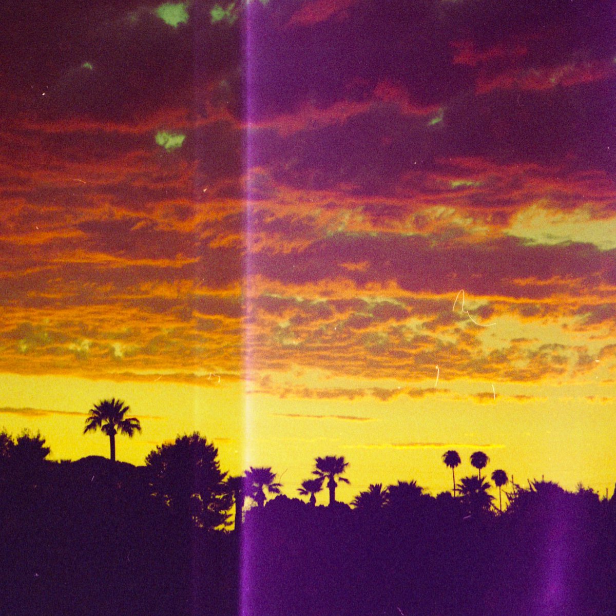 Glitterfox tweet media