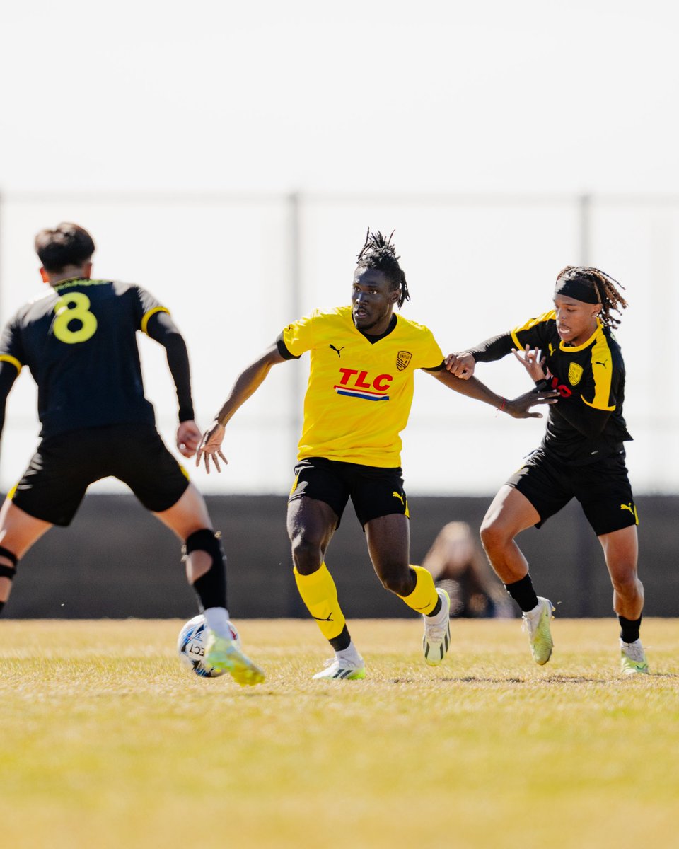 NewMexicoUTD tweet picture